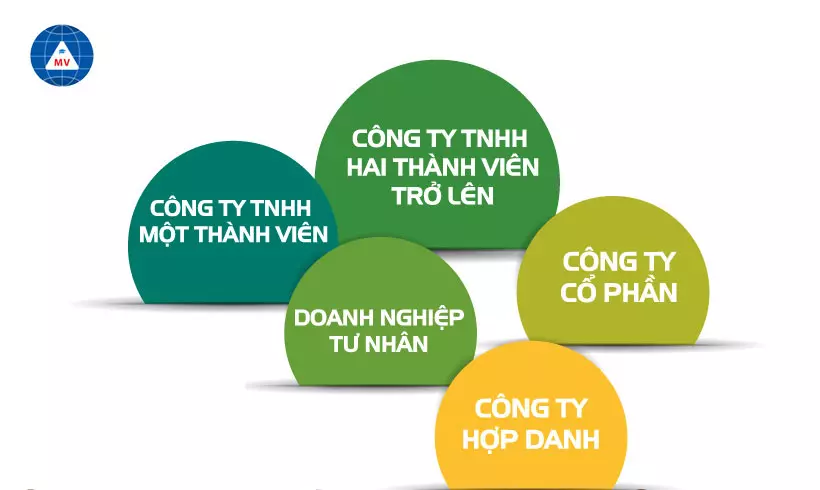 các mô hình doanh nghiệp ở việt nam