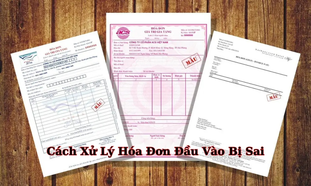 cach-xu-ly-hoa-don-dau-vao-bi-sai