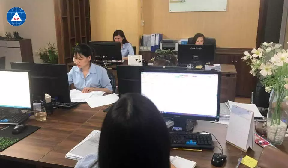 Nhiệm vụ của Đại Lý Thuế Minh Việt là gì?