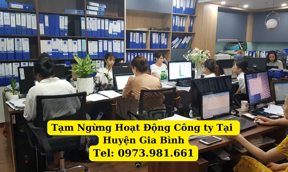 tam-ngung-hoat-dong-cong-ty-tai-huyen-gia-binh