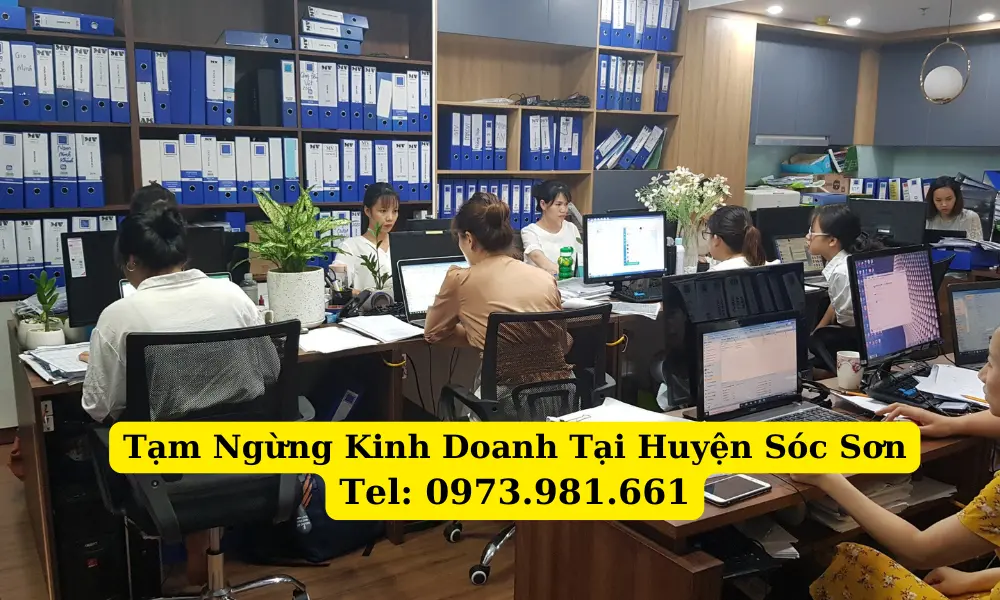 dich-vu-tam-ngung-kinh-doanh-tai-soc-son