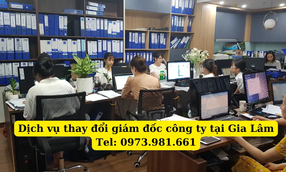 dich-vu-thay-doi-giam-doc-cong-ty-tai-gia-lam